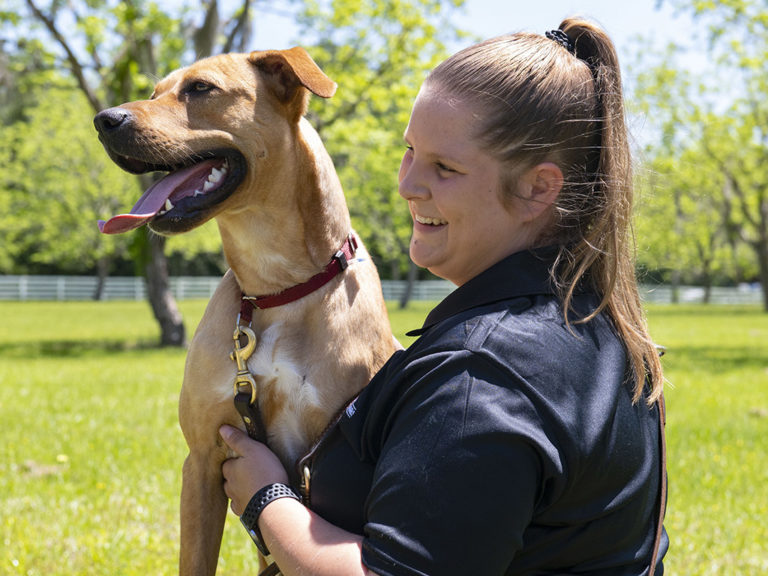 K9s For Warriors Dog Trainer Apprentice Program