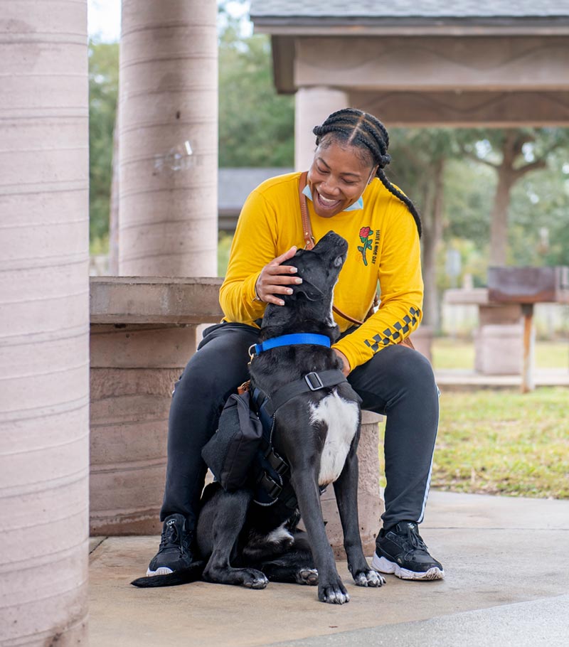 Training service dogs for military members is therapy for veterans at  Penn's new program