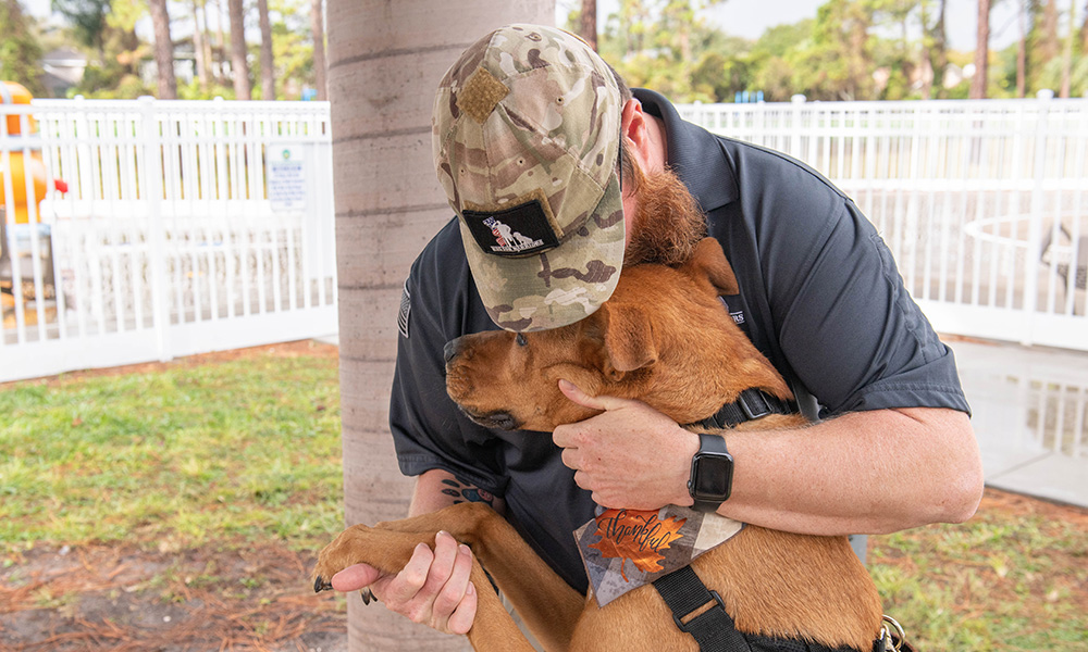 A dog's life of service