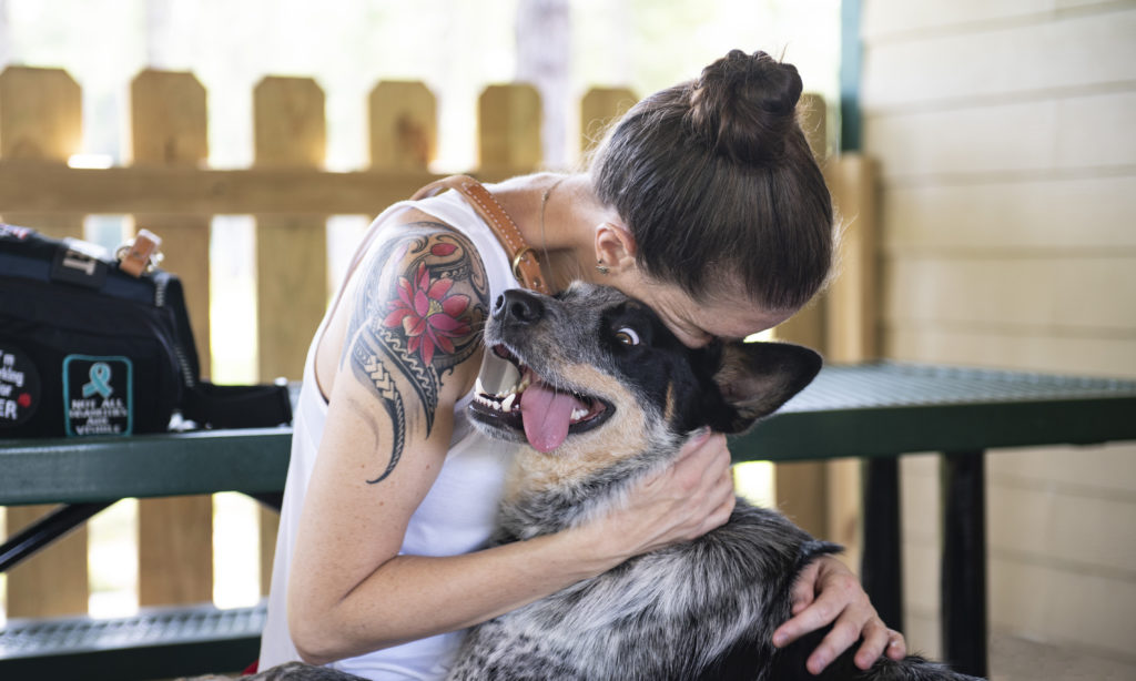 Veteran Toye & Service Dog Bake