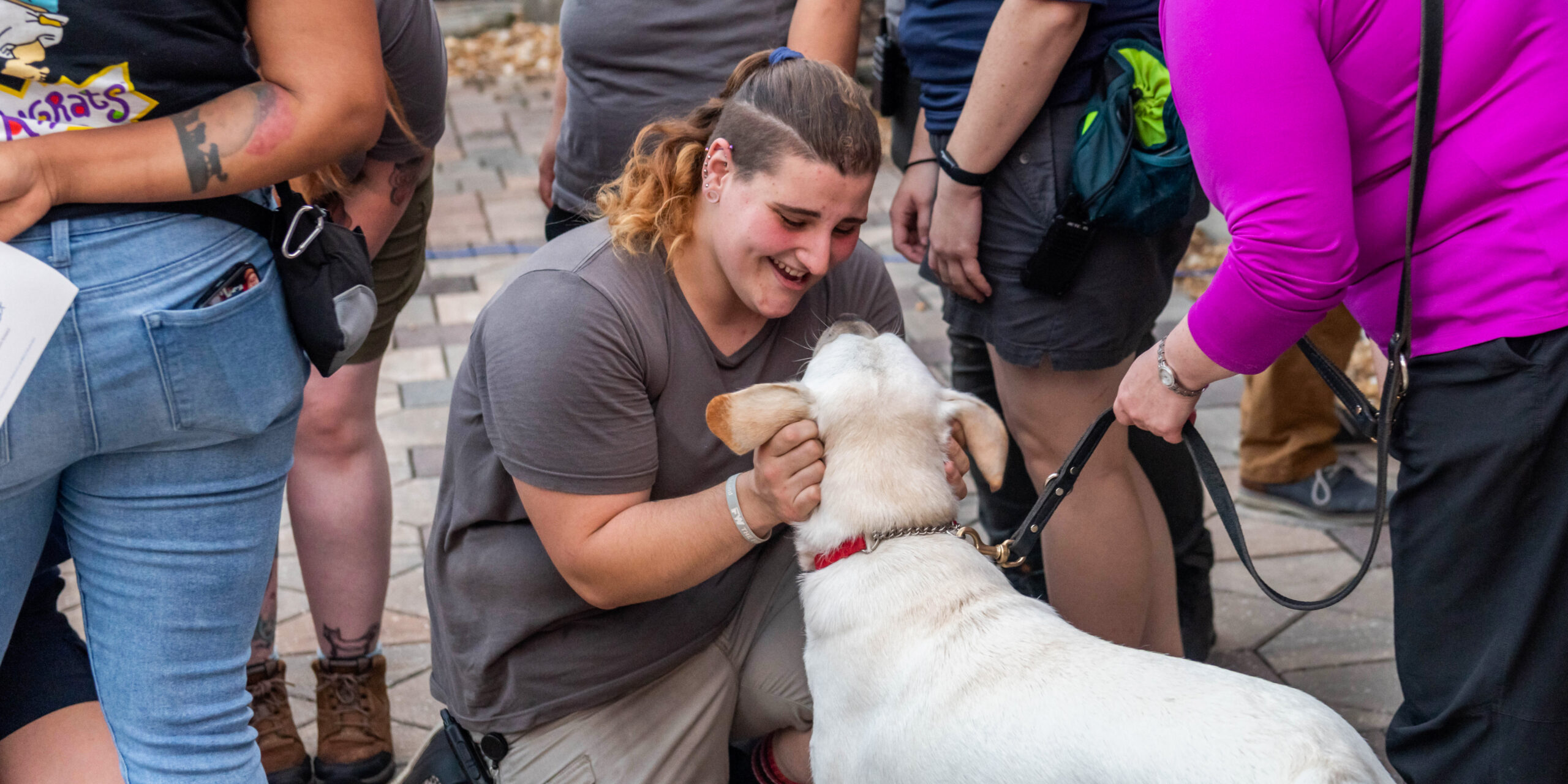 Day in the Life of a K9 Caretaker