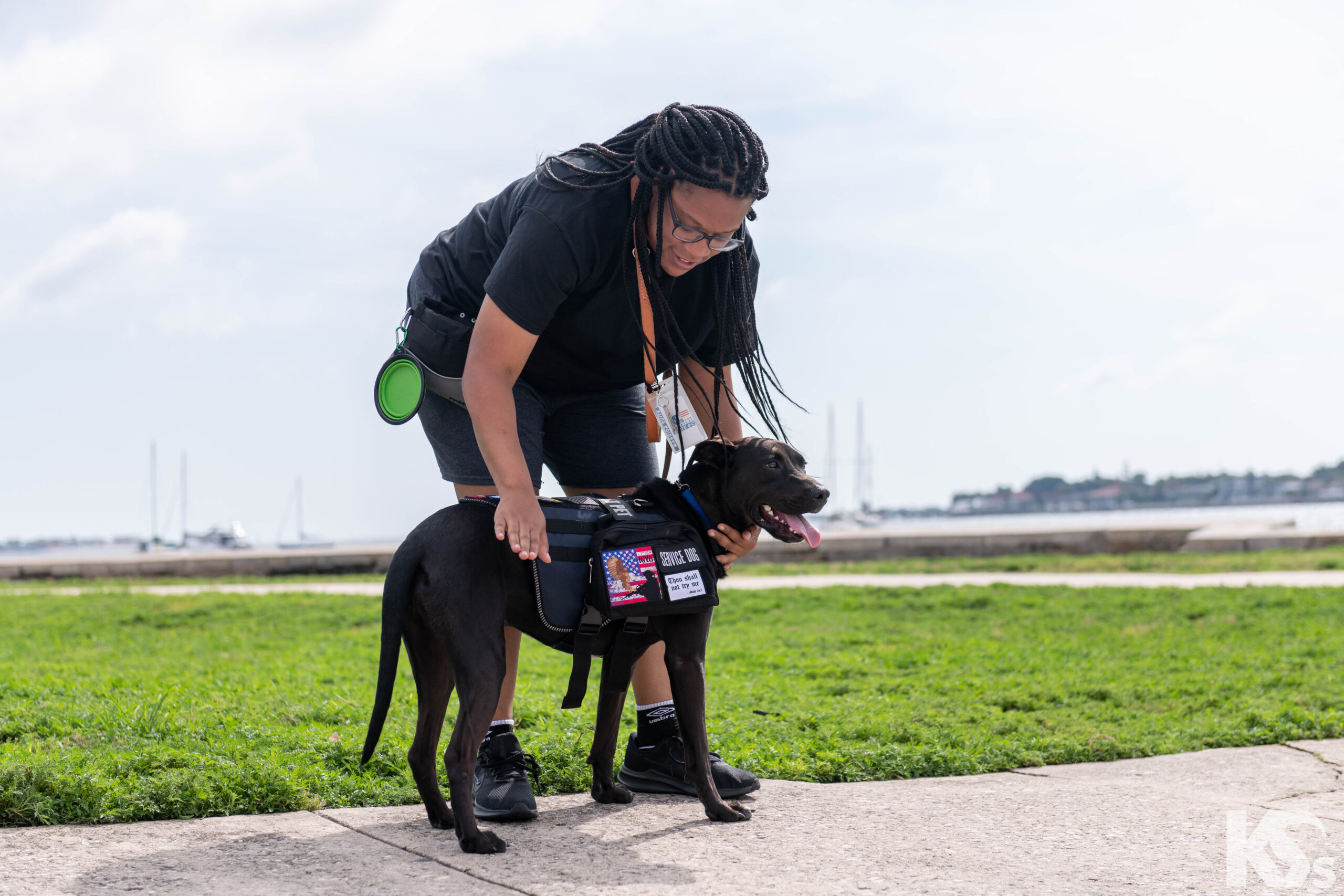 PTSD SERVICE DOG IN TRAINING DO NOT TOUCH Patches Working DOG THERAPY  TRAINING dog Tactical k9