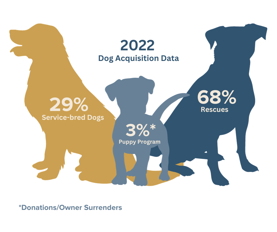 Dog Statistics 2023: Insights Into The World Of Canines - WAF