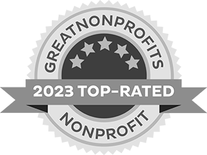 2023-top-rated-awards-badge-embed-grey