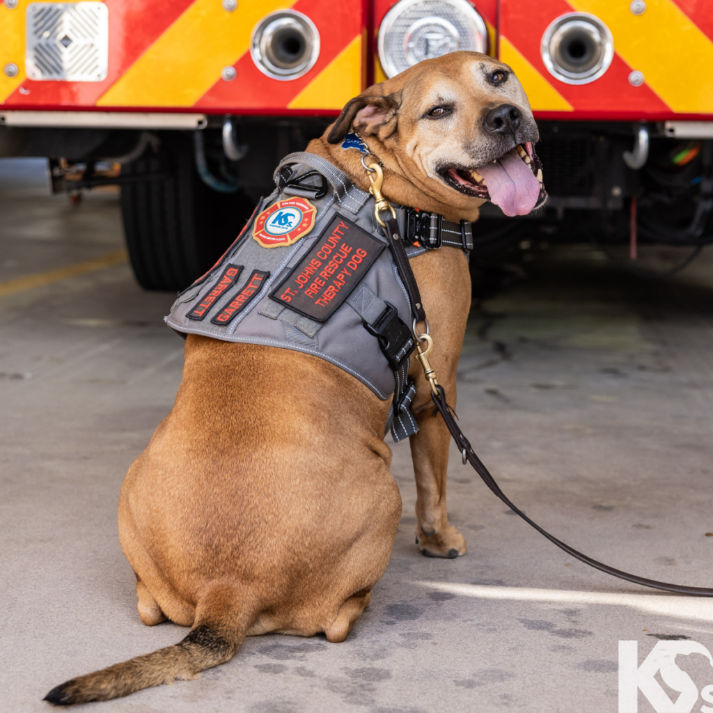Station Dog Garrett
