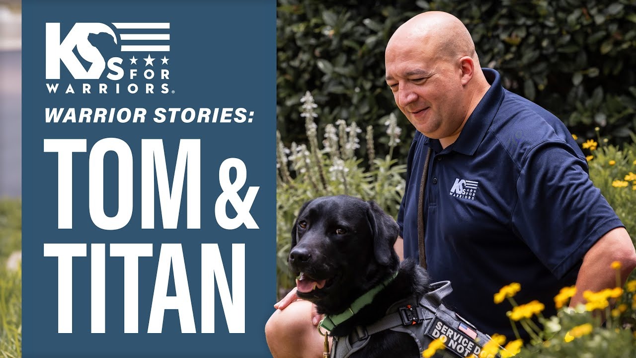 Tom and Titan, Play Video