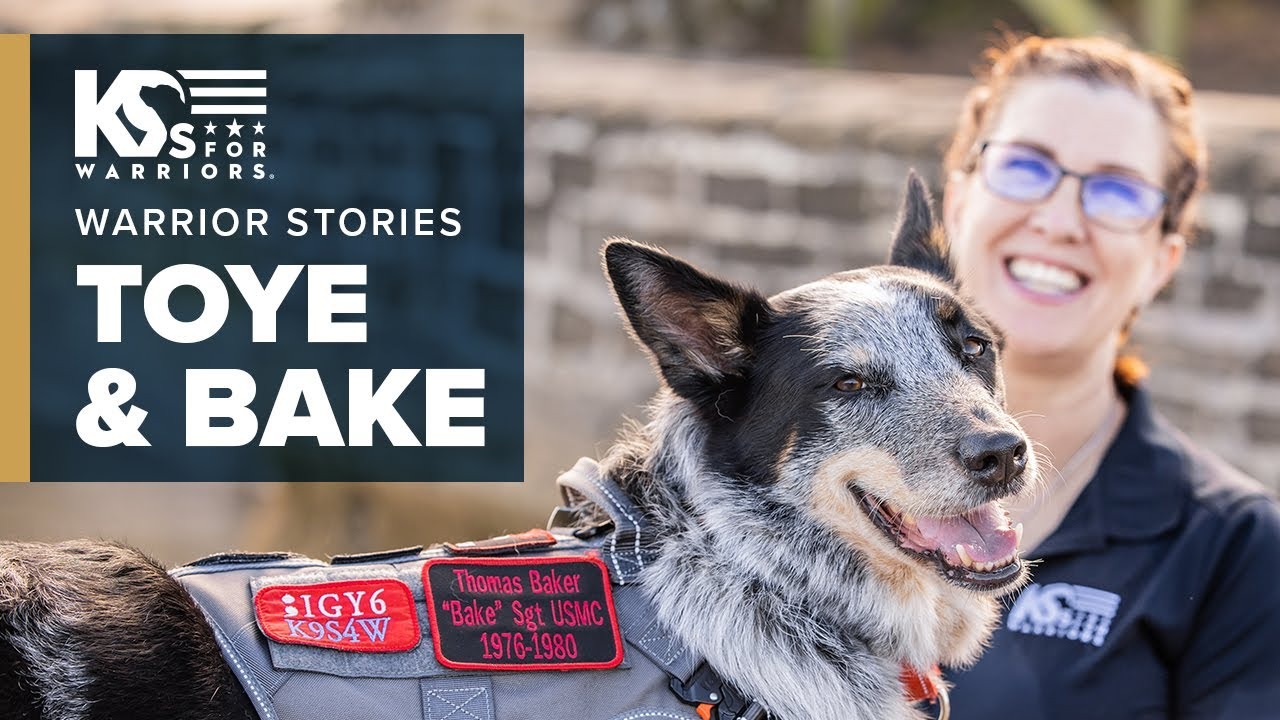 Toye & Bake, Play Video