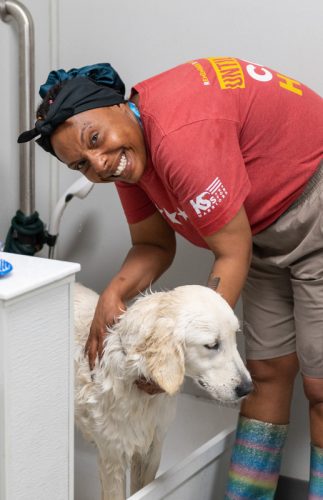 K9FW_Caretaker-4